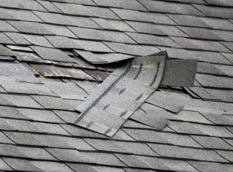 Shingle Repair 